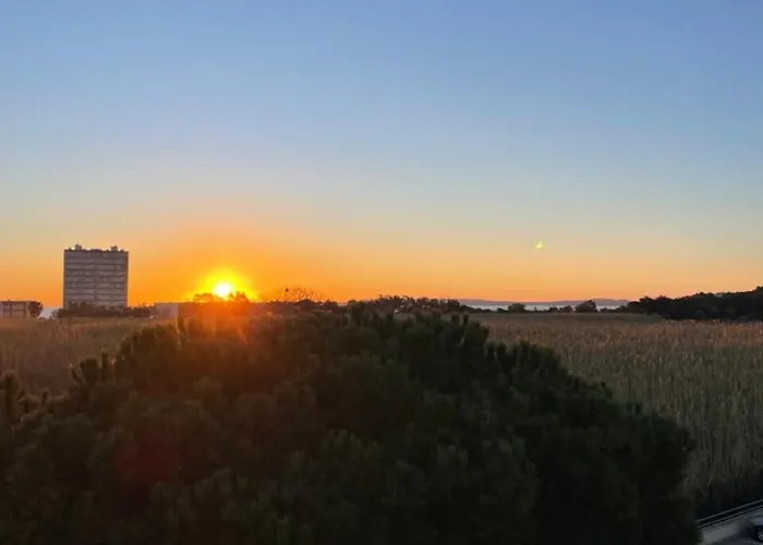 Domaine D'azur - Renovated 1br With Terrace Pool & Garage Appartement *